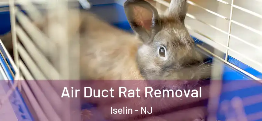 Air Duct Rat Removal Iselin - NJ