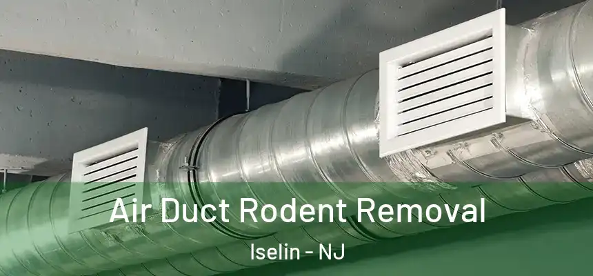  Air Duct Rodent Removal Iselin - NJ