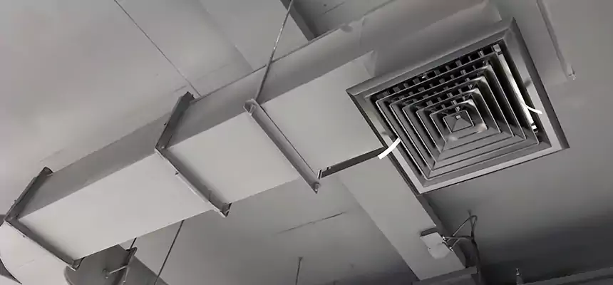 Restorative Allergy Relief Vent Cleaning – Coil, Blower & Housing Detail in Iselin