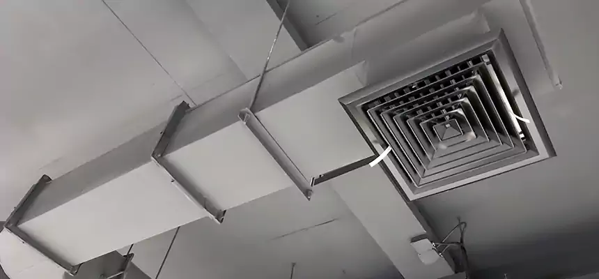 Our Pest Removal From Ducts Services in Iselin, NJ