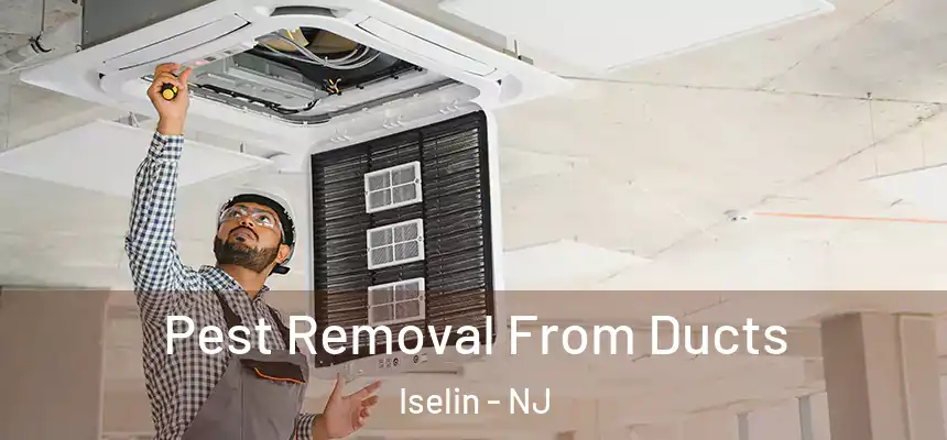 Pest Removal From Ducts Iselin - NJ