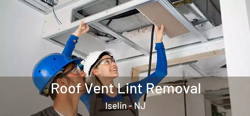  Roof Vent Lint Removal Iselin - NJ