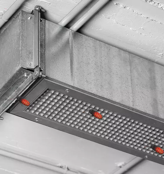 About Air Duct Cockroach Removal in Iselin, NJ