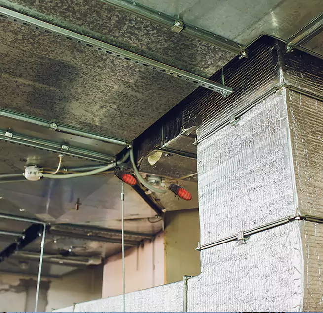 Why Homeowners & Businesses Trust Us in Iselin, NJ?